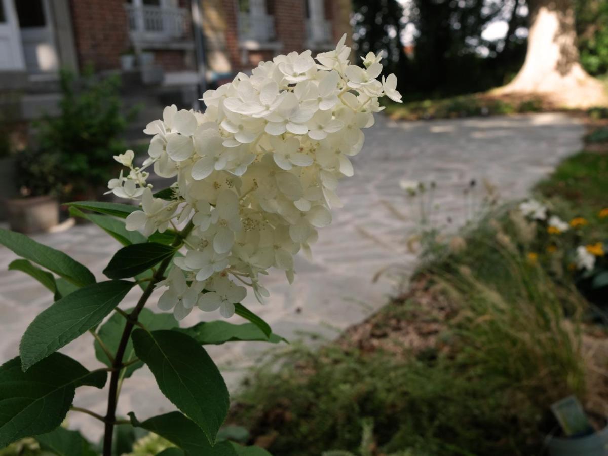 Mille Et Une Feuilles Saint-Martin-Lez-Tatinghem エクステリア 写真